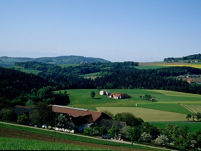 Unterweitrag Nussbaumer und Unterlehrmayr
