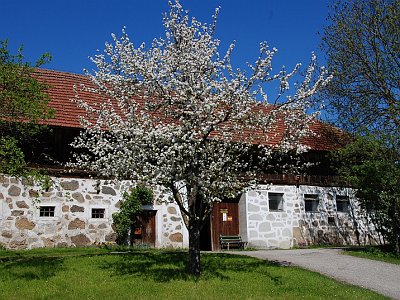 Weignersedt Aigner