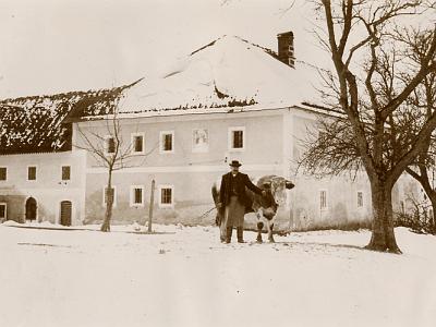 006 Fehringer Pargfried 1920