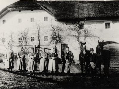 008 Schwarz in Willersdorf