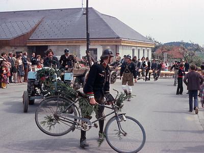 018 Maibaum Gerichtsverh. 78