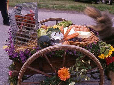 038 Stilleben Marktwagerl