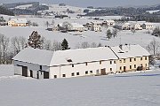 Edt Haldbaun