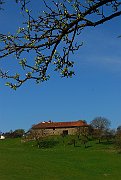 Kulm Birner 1