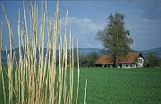 Oberbairing Richtung Schuster