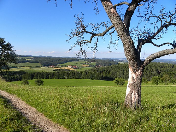 Landschaftsbilder 013.jpg - Richtung Unterweitrag