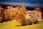 Landschaftsbilder 002