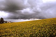 Landschaftsbilder 003