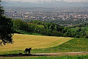 Landschaftsbilder 004