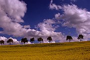 Landschaftsbilder 015