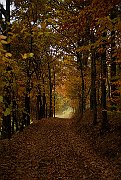 Landschaftsbilder 025