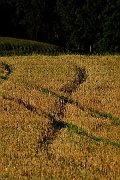 Landschaftsbilder 028