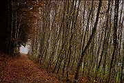 Landschaftsbilder 029