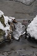 Winterlandschaft