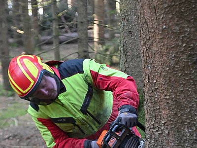 09 Maibaum Umschneiden