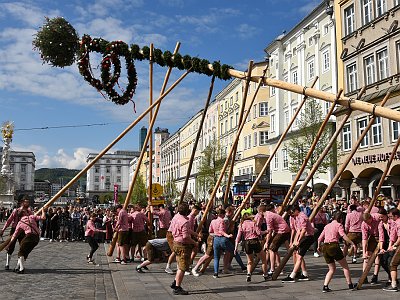19 Maibaum in Linz
