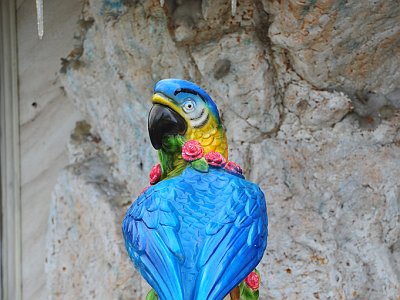 Blau 10