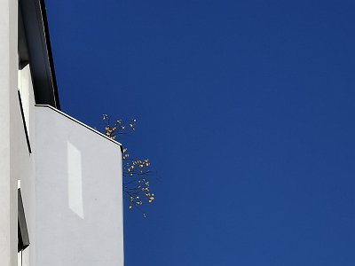 Blau 23