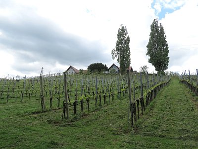 20240421 121331 Suedsteiermark AJ