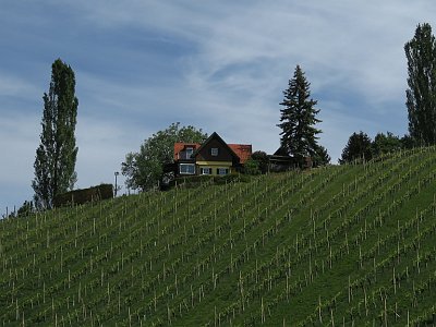 20240422 103110 Suedsteiermark AJ
