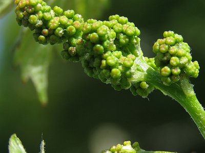 20240422 110521 Suedsteiermark AJ