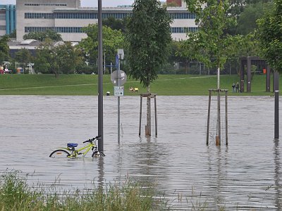 20240604 160031 Hochwasser Linz LP