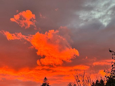 24 Rot 01 Humenberger Gisela