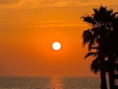 26 Rot 04 Humenberger Gisela  Screenshot