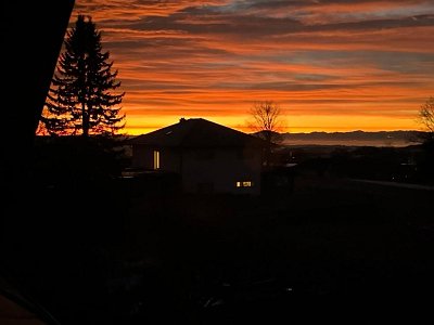 27 Rot 05 Humenberger Gisela