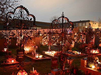 20251101 212438 Allerheiligen TF