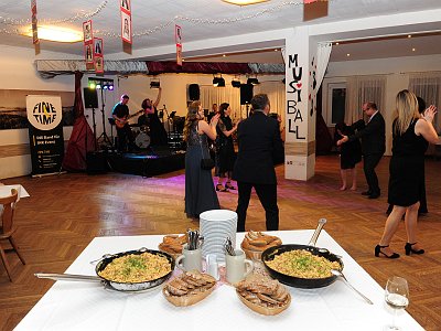 20260215 011427 Musikerball