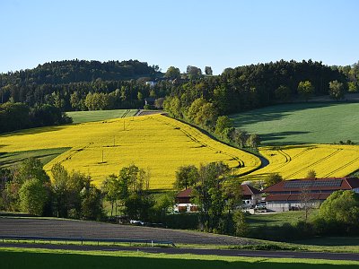 2026 Oberweitrag (12)