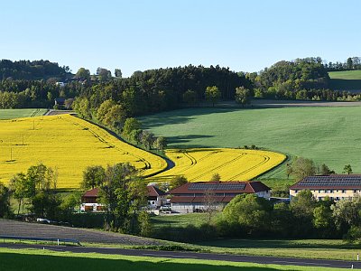 Fruehlingsfotos