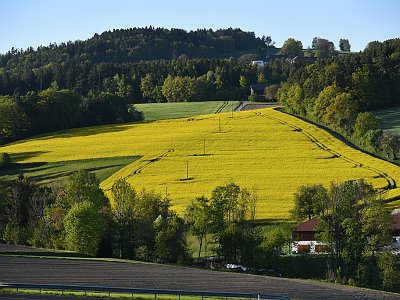 2026 Oberweitrag (8)