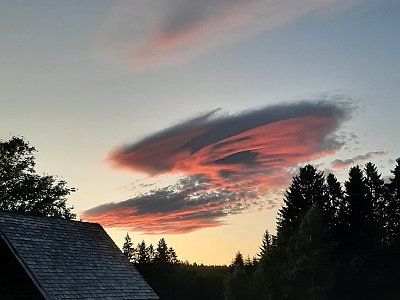 dorisgebeshuber (19)