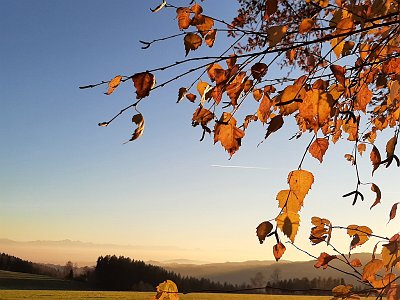 dorisgebeshuber (21)