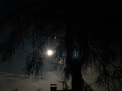 dorisgebeshuber (23)