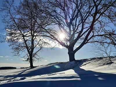 dorisgebeshuber (25)