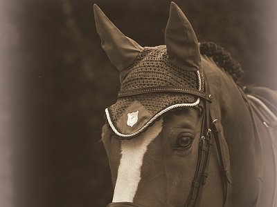 dorisgebeshuber (26)