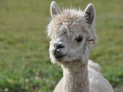 dorisgebeshuber (31)