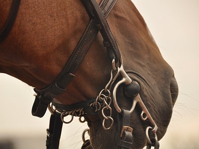 dorisgebeshuber (34)