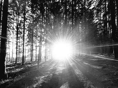 dorisgebeshuber (36)