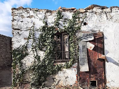 dorisgebeshuber (37)