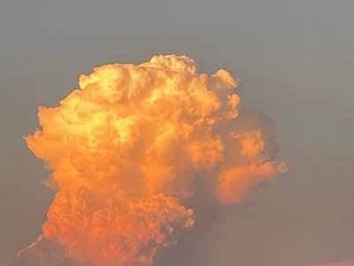 20250814 25 Galerie Humenberger