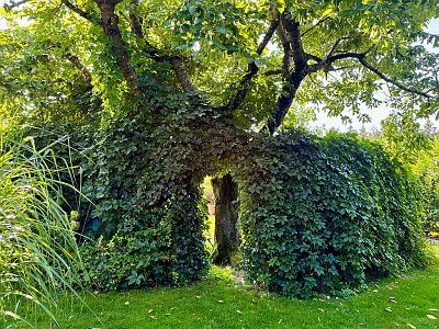 20250814 01 Galerie Humenberger