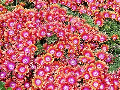 20250814 03 Galerie Humenberger