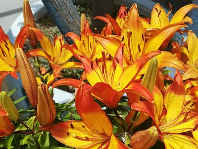 20250814 04 Galerie Humenberger