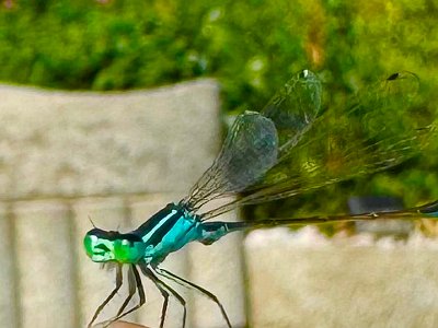 20250814 06 Galerie Humenberger