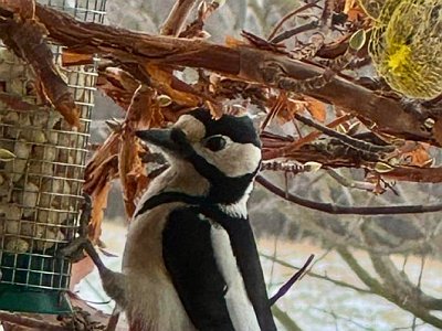 20250814 07 Galerie Humenberger