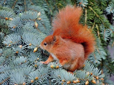 20250814 08 Galerie Humenberger